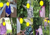 산책] 보리수 따기 활동
